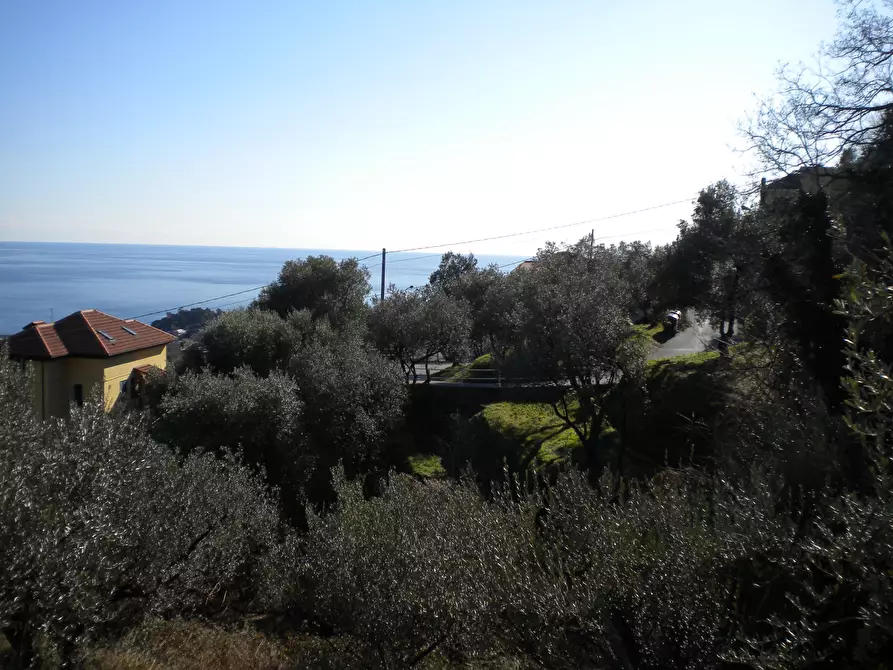 Immagine 14 di Villa in vendita  a Varazze