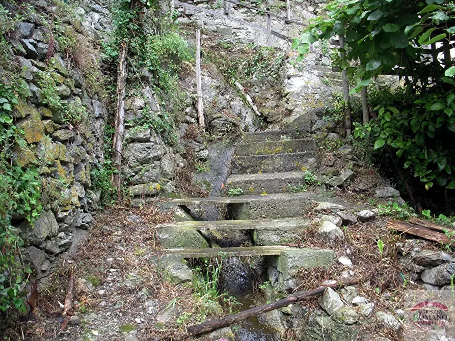 Immagine 24 di Porzione di casa in vendita  in magrania a Albisola Superiore