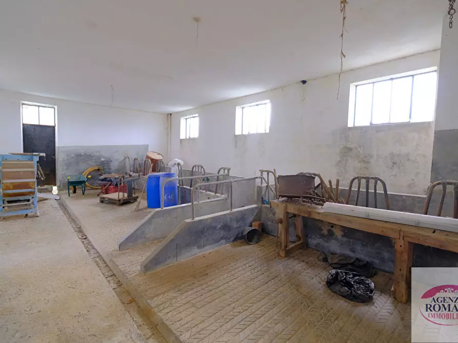 Immagine 23 di Casa indipendente in vendita  in Località Garbarini 17 a Pareto