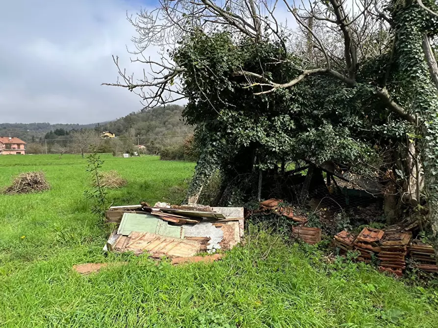 Immagine 21 di Terratetto in vendita  a Stella