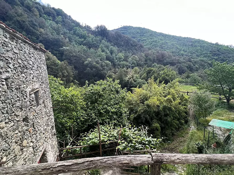 Immagine 14 di Terratetto in vendita  a Albisola Superiore
