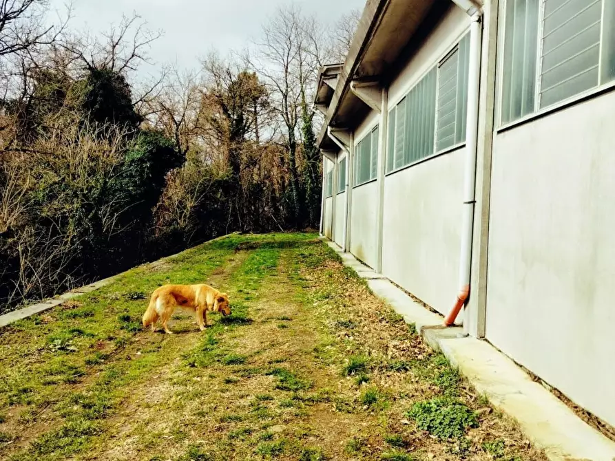 Immagine 24 di Casa indipendente in vendita  a Varazze
