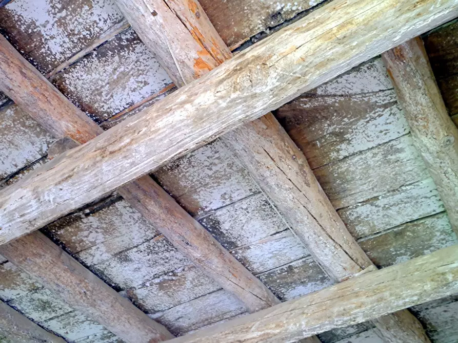 Immagine 37 di Casa indipendente in vendita  in Via Melina 22 a Celle Ligure