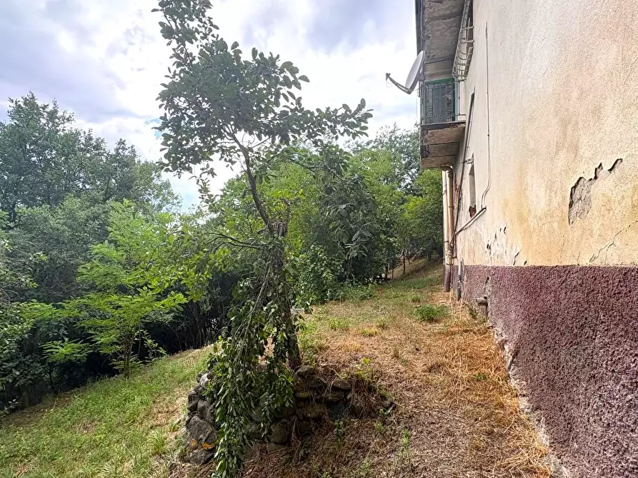 Immagine 48 di Rustico / casale in vendita  in SP216 6 a Pareto