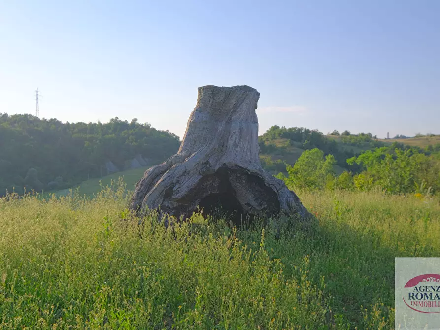 Immagine 5 di Rustico / casale in vendita  a Pareto