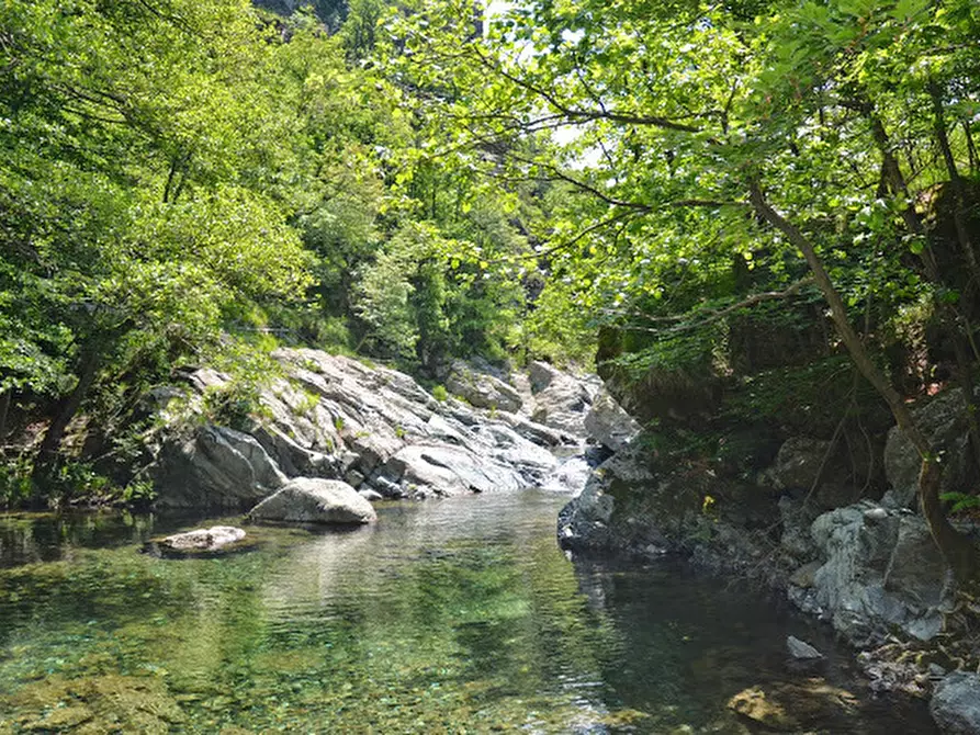 Immagine 34 di Rustico / casale in vendita  in Via Dano a Sassello