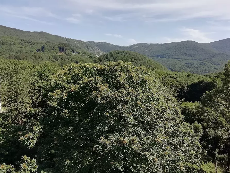 Immagine 29 di Bilocale in vendita  in SP40 71 a Urbe