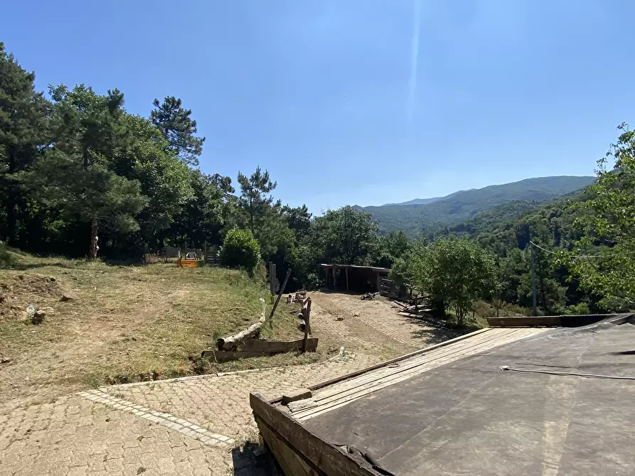 Immagine 18 di Rustico / casale in vendita  in Località Bonuzzo 22 a Sassello