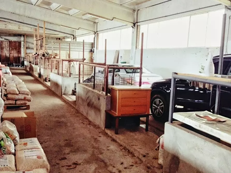 Immagine 46 di Casa indipendente in vendita  a Varazze