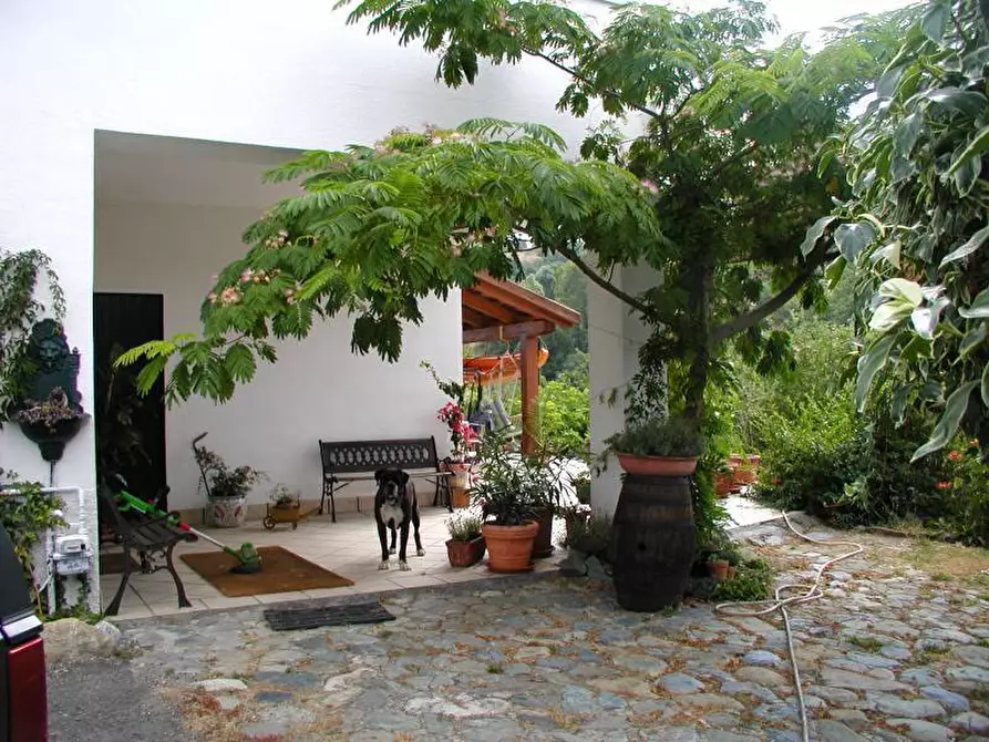 Immagine 17 di Rustico / casale in vendita  in via delle ginestre 3 a Cartosio
