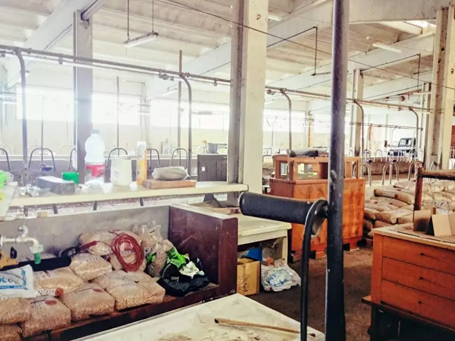 Immagine 40 di Casa indipendente in vendita  a Varazze