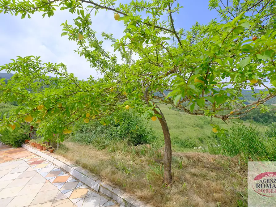 Immagine 9 di Rustico / casale in vendita  in VIA AVERA a Mioglia