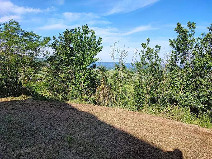 Immagine 26 di Rustico / casale in vendita  in Via al Castello 37 a Pareto