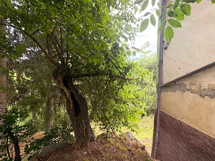 Immagine 58 di Rustico / casale in vendita  in SP216 6 a Pareto