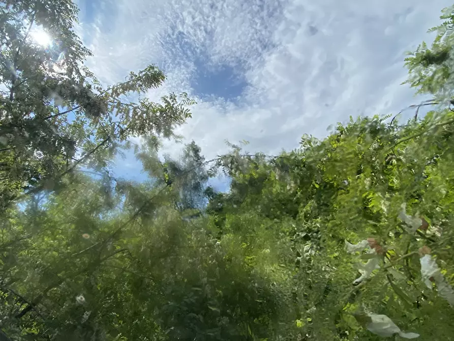 Immagine 8 di Casa indipendente in vendita  in Via Monterosso 11 a Tiglieto