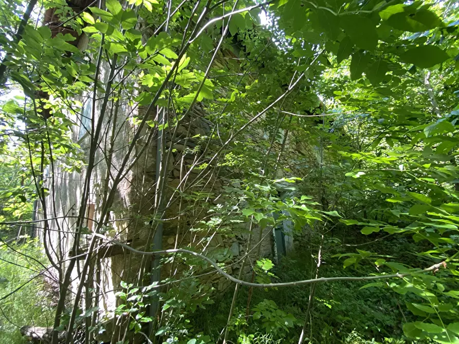 Immagine 12 di Casa indipendente in vendita  in Via Monterosso 11 a Tiglieto