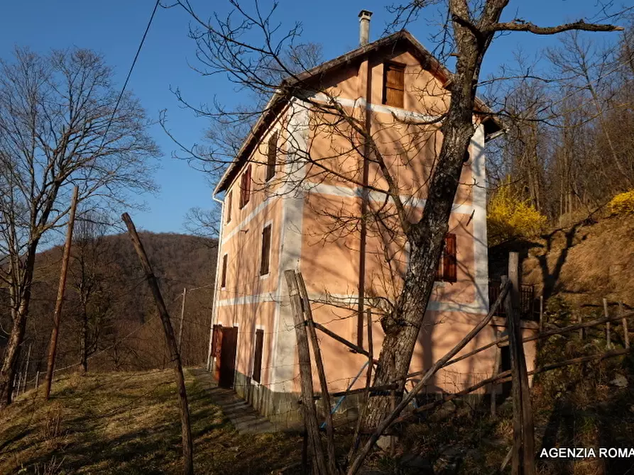 Immagine 15 di Rustico / casale in vendita  a Urbe