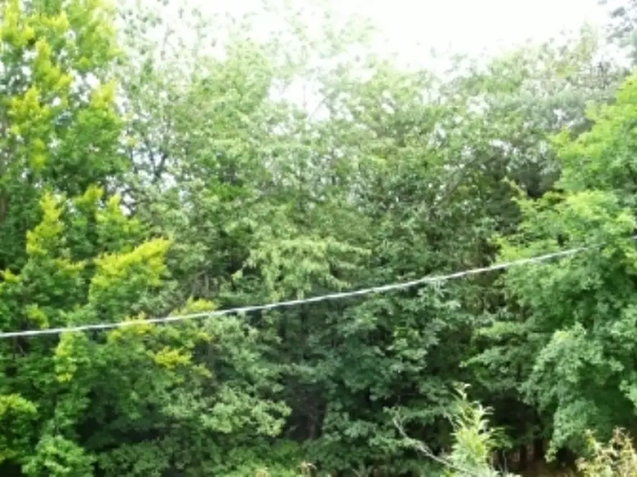 Immagine 8 di Appartamento in vendita  a Urbe