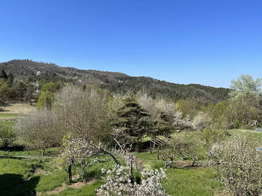 Immagine 3 di Bilocale in vendita  in SP49 23 a Sassello