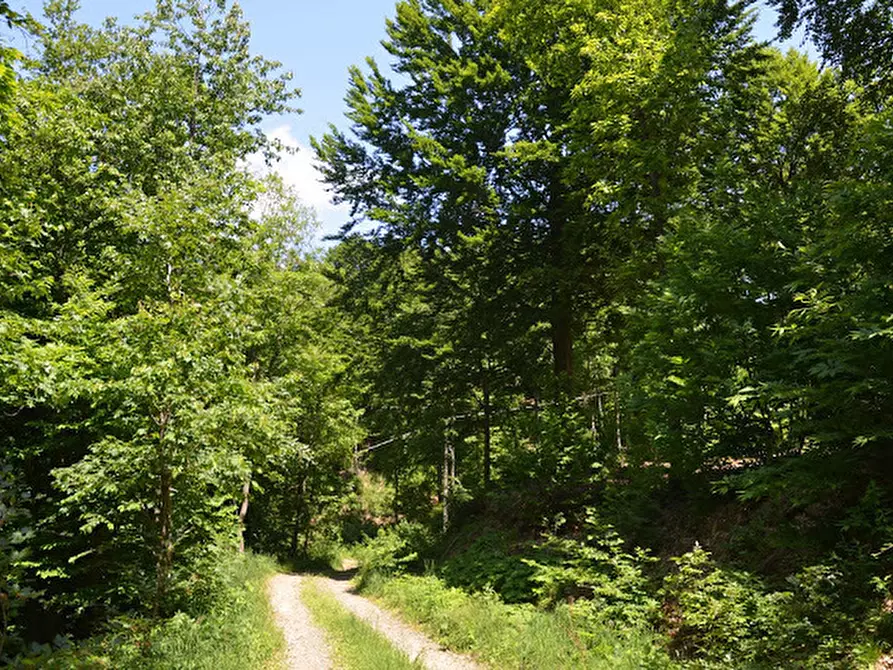 Immagine 26 di Rustico / casale in vendita  in Via Dano a Sassello