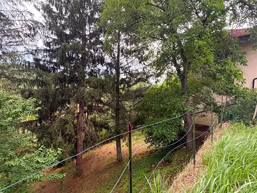 Immagine 59 di Rustico / casale in vendita  in SP216 6 a Pareto