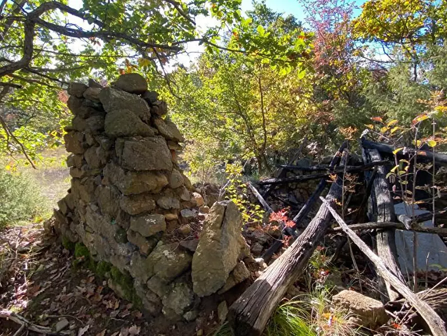 Immagine 2 di Rustico / casale in vendita  in Loc Ormei a Ponzone