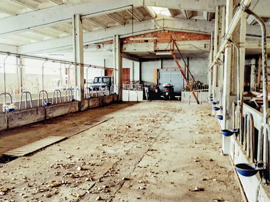 Immagine 47 di Casa indipendente in vendita  a Varazze