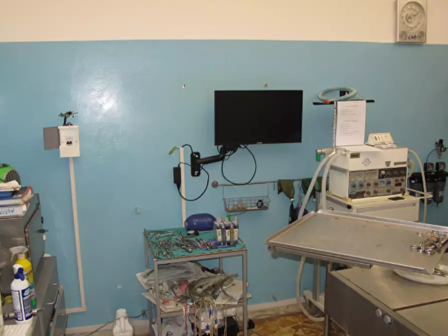 Immagine 4 di Locale commerciale in vendita  in Via Alessandro Magnasco 1 a Serra Riccò