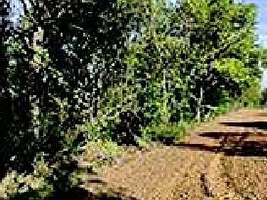 Immagine 5 di Attività artigianale in vendita  in Cascina Bricco snc a Quattordio