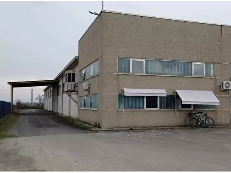 Immagine 1 di Attività artigianale in vendita  in Via Castelspina 11 a Castellazzo Bormida