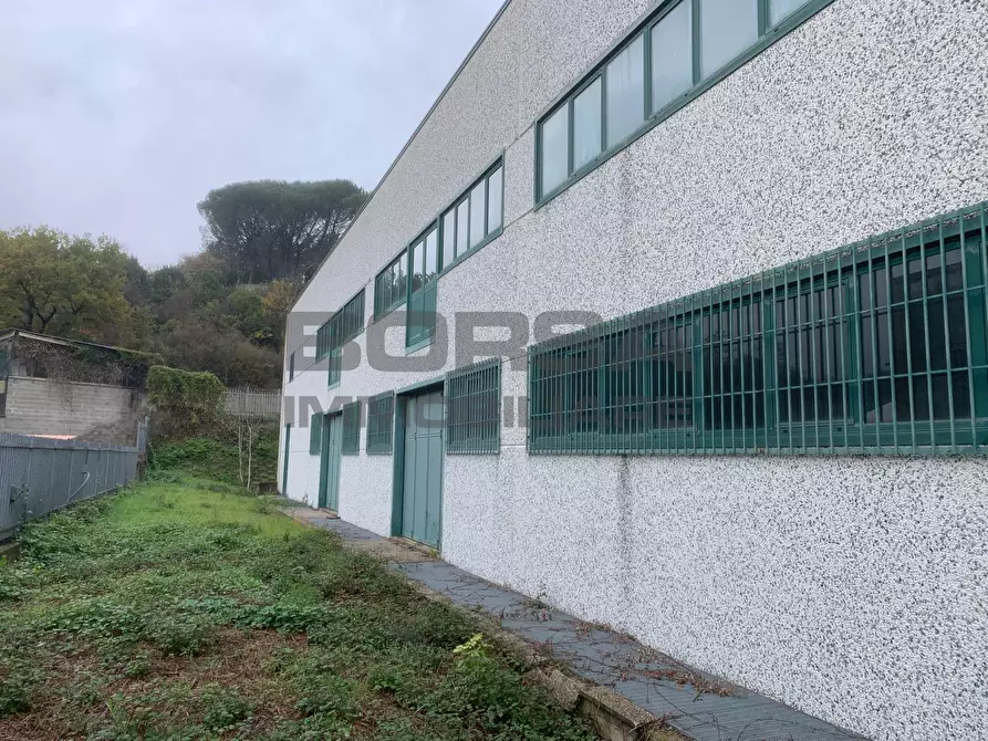 Immagine 41 di Attività artigianale in vendita  in Via Piero Della Francesca snc a Capolona