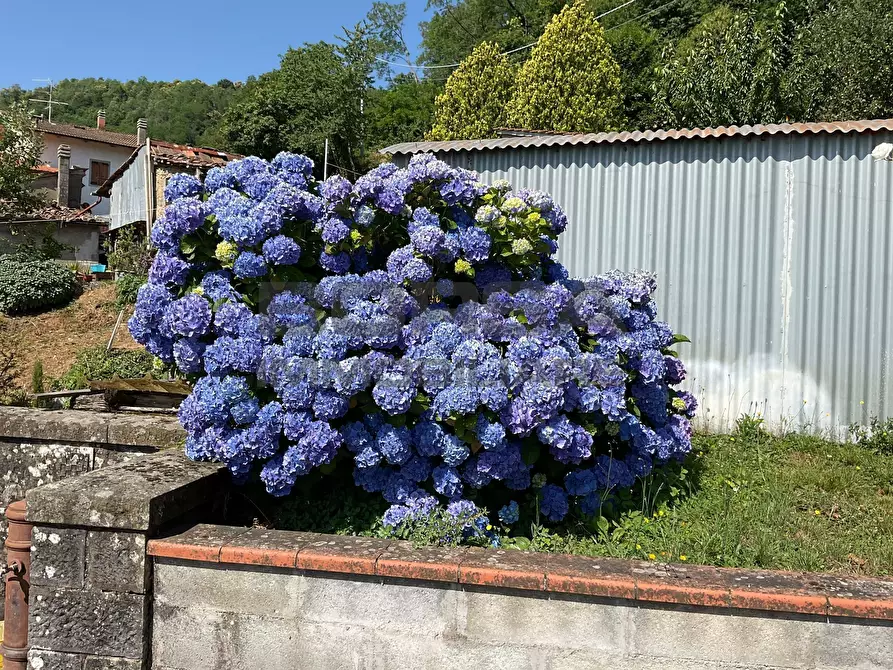 Immagine 56 di Rustico / casale in vendita  in via case geri e selvapiana a Pistoia