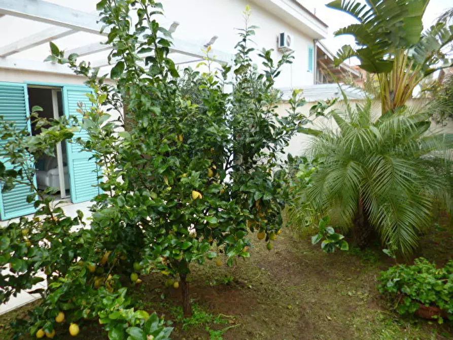 Immagine 18 di Villa in affitto  a Santa Croce Camerina