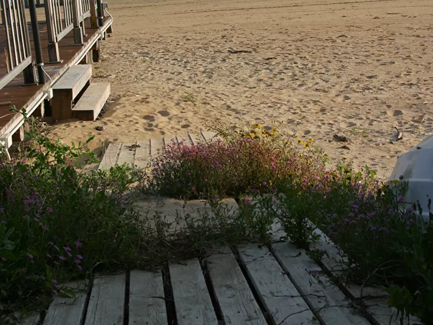 Immagine 35 di Villa in vendita  a Pozzallo