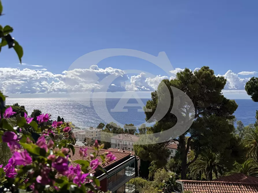 Immagine 21 di Monolocale in vendita  in Viale dei Pepi 13 a Ospedaletti