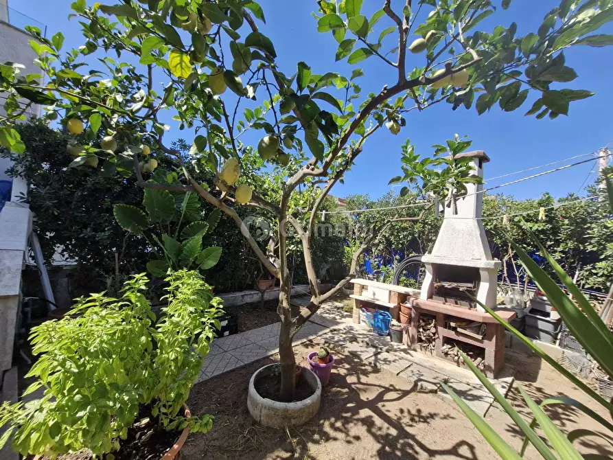 Immagine 17 di Trilocale in affitto  in Via delle Castalidi 67 a Anzio