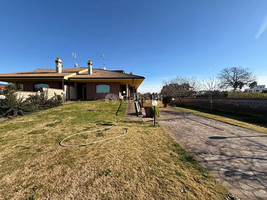 Immagine 7 di Casa bifamiliare in affitto  in Via Tagliamento 18 a Nettuno