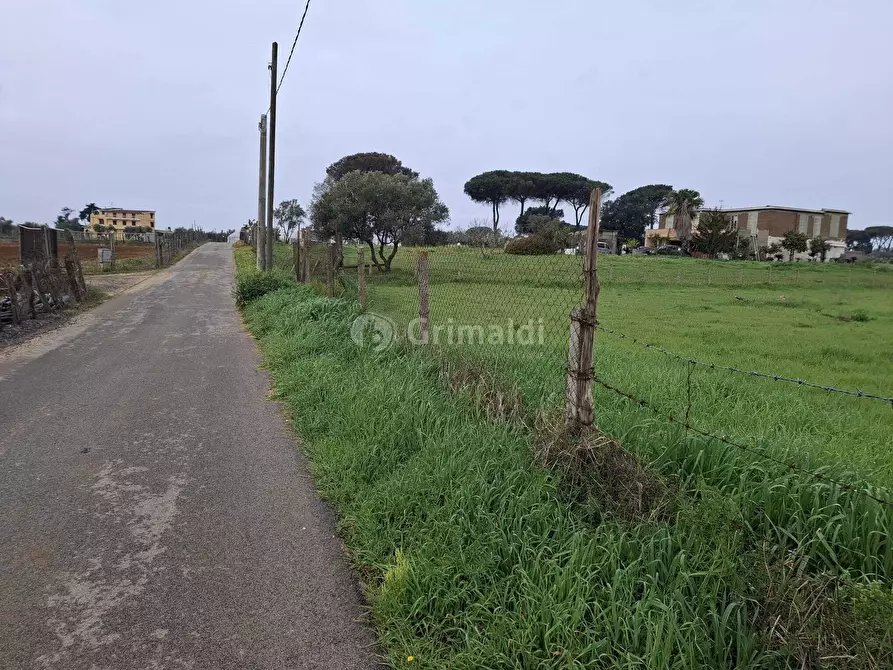 Immagine 5 di Terreno agricolo in vendita  in Via del Pino a Nettuno