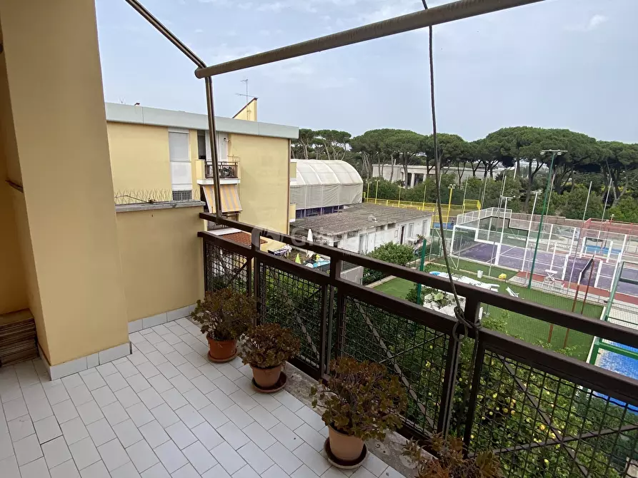 Immagine 2 di Monolocale in vendita  in Via San Giacomo 62 a Nettuno