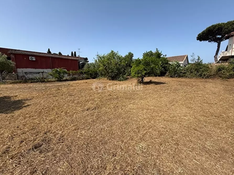 Immagine 8 di Terreno edificabile in vendita  in Via Viminale a Nettuno