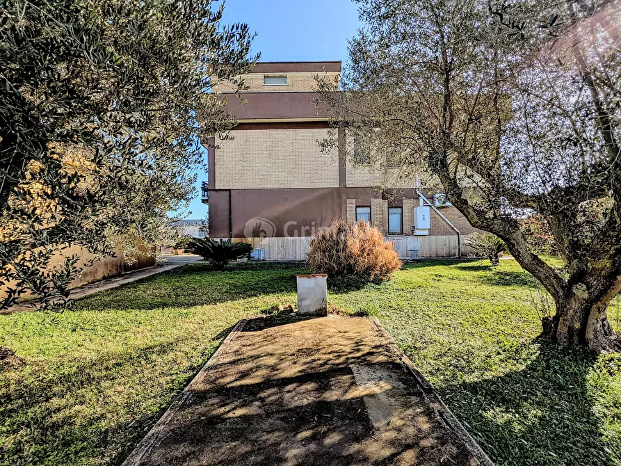 Immagine 14 di Villa in vendita  in Via Granieri 56 a Nettuno