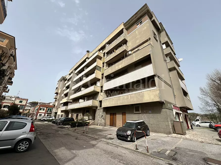 Immagine 1 di Bilocale in affitto  in via venezia 15 a Nettuno