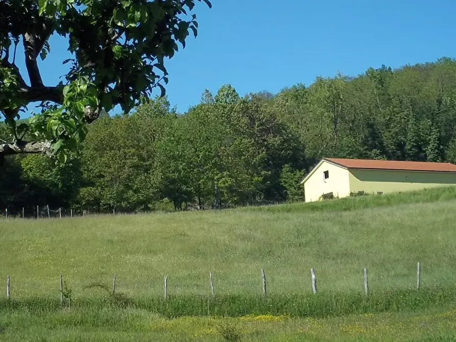 Immagine 3 di Agriturismo in vendita  in Località Cavizzano 13A a Varese Ligure