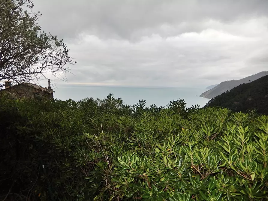 Immagine 3 di Villa in vendita  in Località Salice a Bonassola