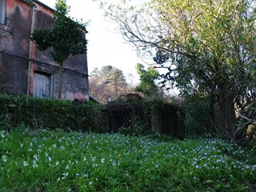 Immagine 21 di Rustico / casale in vendita  in Via dei Cogorno 110 a Cogorno