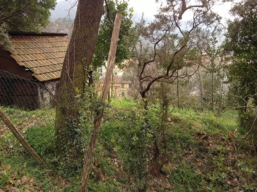 Immagine 1 di Terreno edificabile in vendita  in SP523 a Casarza Ligure