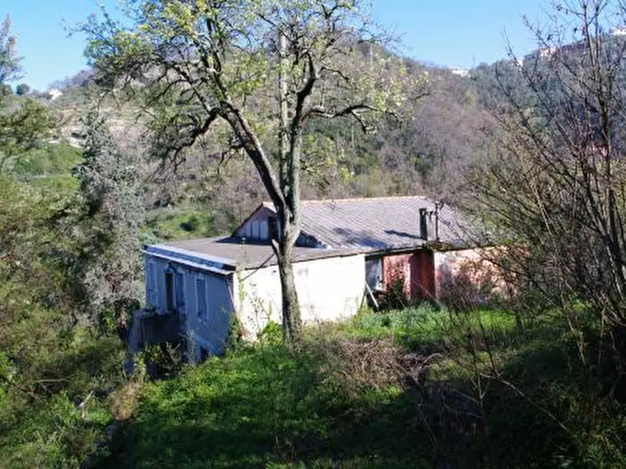 Immagine 28 di Rustico / casale in vendita  in Via dei Cogorno 110 a Cogorno