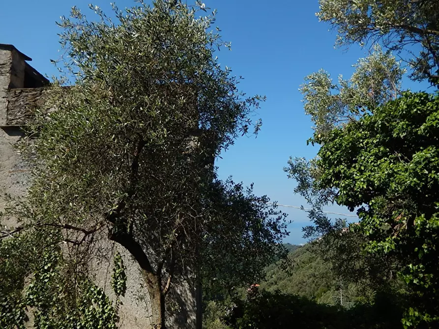 Immagine 9 di Rustico / casale in vendita  in Via Costigliolo a Cogorno