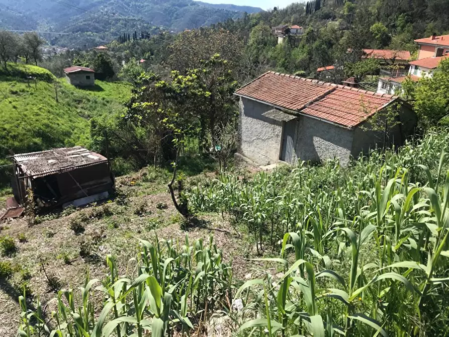 Immagine 5 di Terreno edificabile in vendita  in Via Olivella Caminata a Casarza Ligure