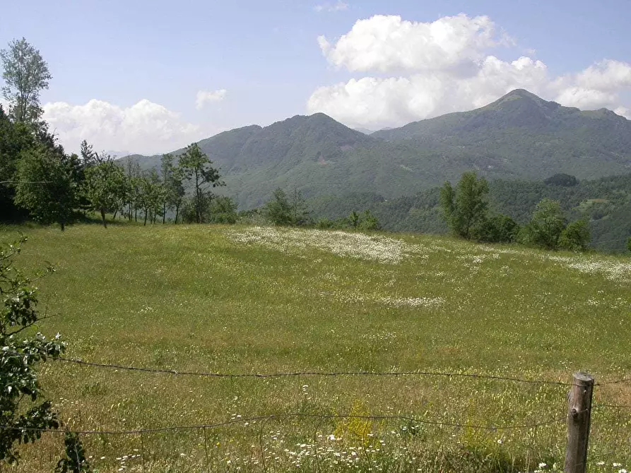 Immagine 11 di Agriturismo in vendita  in Località Cavizzano 13A a Varese Ligure